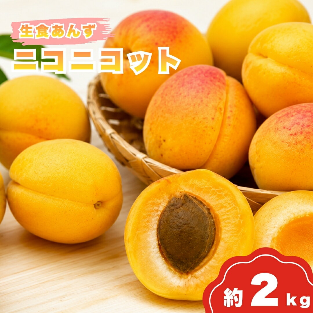 生食ニコニコット 約2kg | あんず 信月 杏子 アンズ アプリコット 果物 くだもの フルーツ 2kg 2キロ 生食 ジャム シロップ 果実酒 ドライフルーツ お菓子作り に おすすめ 人気 お取り寄せ 産地直送 国産 長野県産 信州 長野 千曲市