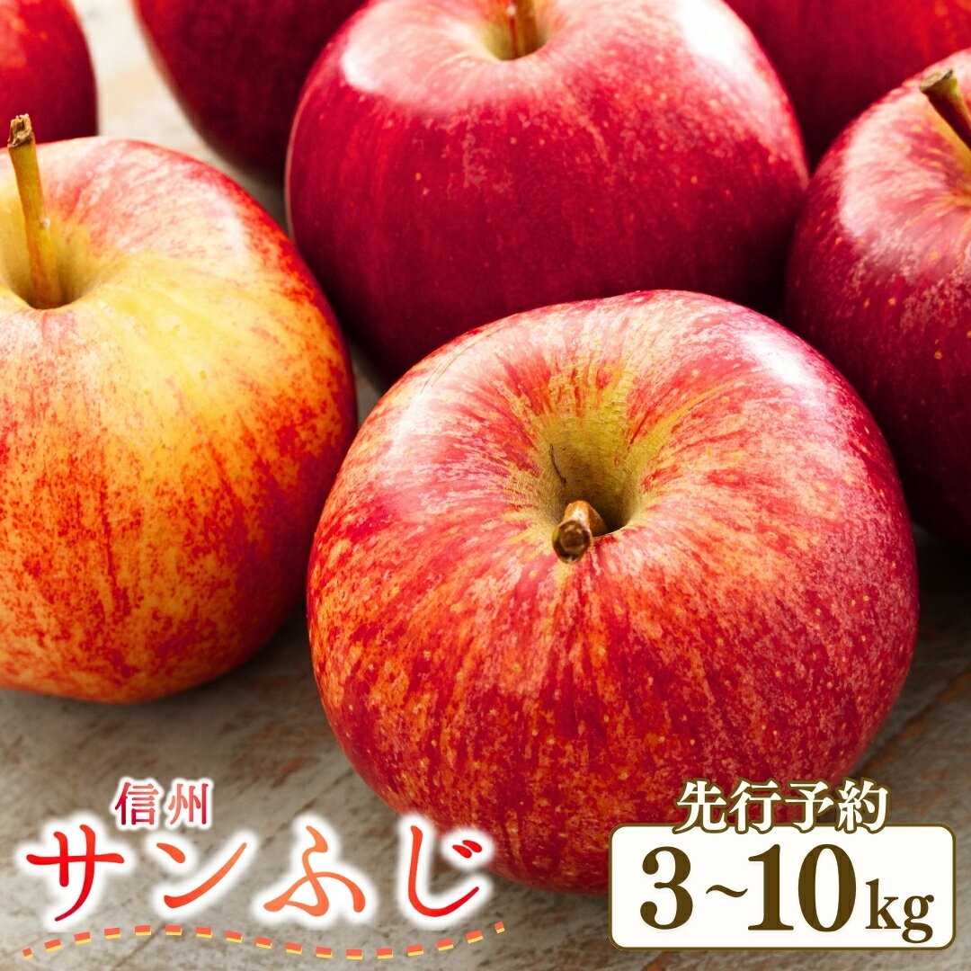 【ふるさと納税】【2025年先行予約】りんご サンふじ 約3kg~10kg (6~36玉)|林檎 蜜入り 果物 フルーツ サン ふじ 富士 3kg 5kg 10kg 信州林檎 信州りんご 信州 長野 千曲市 送料無料のサムネイル