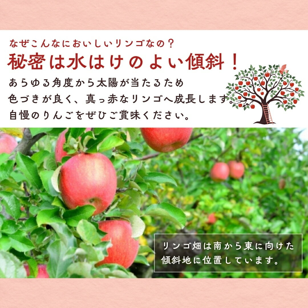 長野県千曲市の画像2