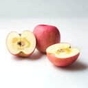 【ふるさと納税】【2025年先行予約】 訳あり りんご サンふじ 約3~10kg (6~40玉) | 果物 フルーツ 長野県産 千曲市 信州 さんふじ サンフジ...