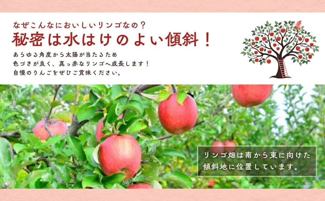 長野県千曲市の画像2