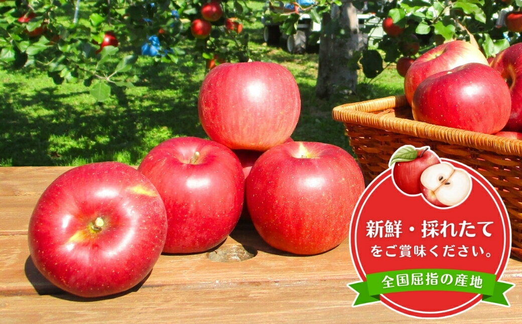 長野県千曲市の画像3