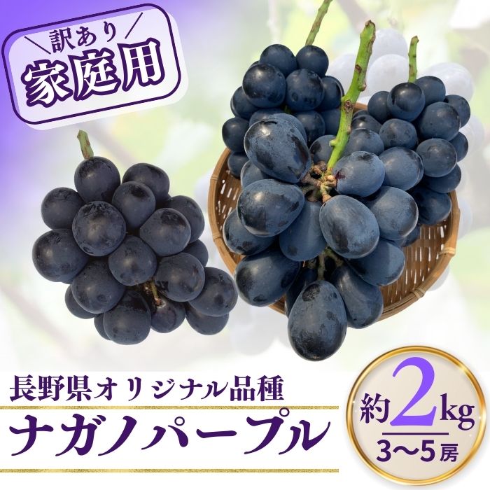 【ふるさと納税】【2026年先行予約】訳あり ナガノパープル 家庭用 約2kg(4~6房)※最低1.8kg以上 | 果物 フルーツ 黒ぶどう 葡萄 ブドウ 種無...