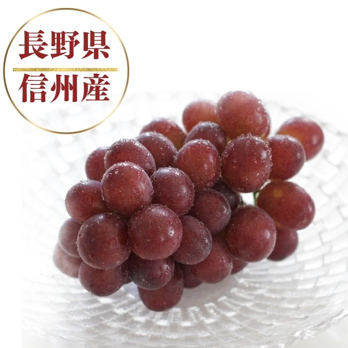 【ふるさと納税】【2026年先行予約】クイーンルージュ® 400g以上(1房) / 約1kg（2~3房）/ 約2kg（4~6房） | ぶどう 葡萄 ブドウ グレープ 赤ぶどう 種無し 種なし 皮ごと 果物 くだもの フルーツ 信州ぶどう 信州葡萄 産地直送 信州 長野 千曲市