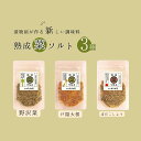 【ふるさと納税】熟成菜ソルト3種セット <漬物屋が作る新しい調味料>| 塩 千曲市 長野県産 信州