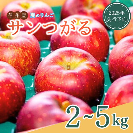 【ふるさと納税】 【2025年先行予約】 夏のりんご サンつがる 約2~5kg 銀杏ファーム平林 | 信州りんご 千曲市 長野県 【ふるさと納税】 【2025年先行予約】 夏のりんご サンつがる 約2~5kg 銀杏ファーム平林 | 信州りんご 千曲市 長野県