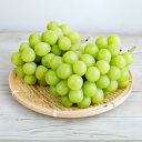 【ふるさと納税】【2025年先行予約】【9月中旬~発送予定】シャインマスカット 1~1.2kg 2~3房 家庭用 訳あり 島田農園 | 果物 フルーツ ぶどう ...