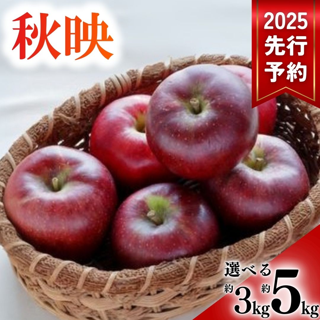[2025年先行予約]りんご 秋映 選べる 3kg / 5kg あきばえ フルーツ 特産品 千曲市 長野県