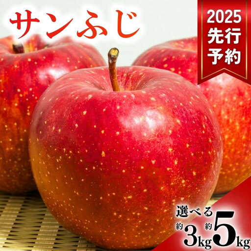 【ふるさと納税】 【2025年先行予約】サンふじ りんご 3kg / 5kg 林檎 信州 長野県産 千曲市 【ふるさと納税】 【2025年先行予約】サンふじ りんご 3kg / 5kg 林檎 信州 長野県産 千曲市