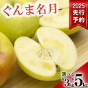 【ふるさと納税】【2025年先行予約】 りんご ぐんま名月 選べる 3kg / 5kg めいげつ フルーツ 特産品 千曲市 長野県(4)