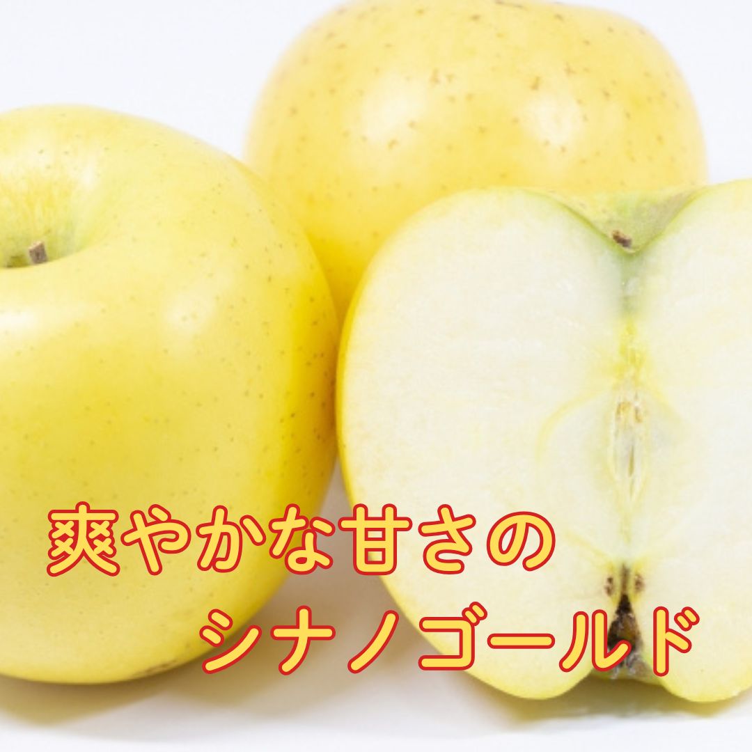 【ふるさと納税】【2026年先行予約】サンふじ...の紹介画像3