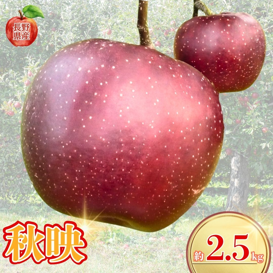 Apple - 【ふるさと納税】【2026年先行予約】長野県産りんご 秋映 約2.5kg｜林檎 あきばえ 千曲市 長野県産 信州