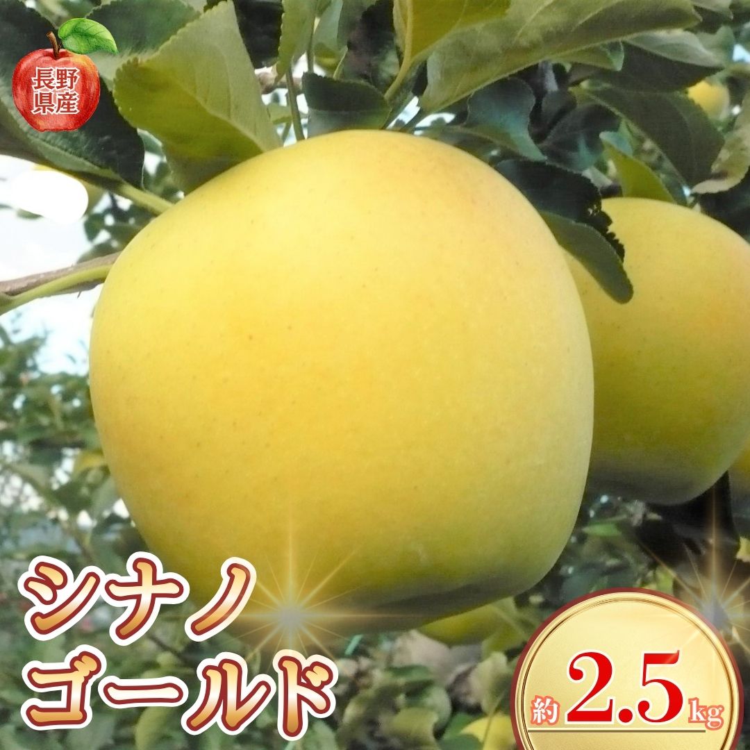 Other - 【ふるさと納税】【2026年先行予約】長野県産りんご シナノゴールド(長野県オリジナル品種) 約2.5kg｜林檎 リンゴ 千曲市 長野県産 信州