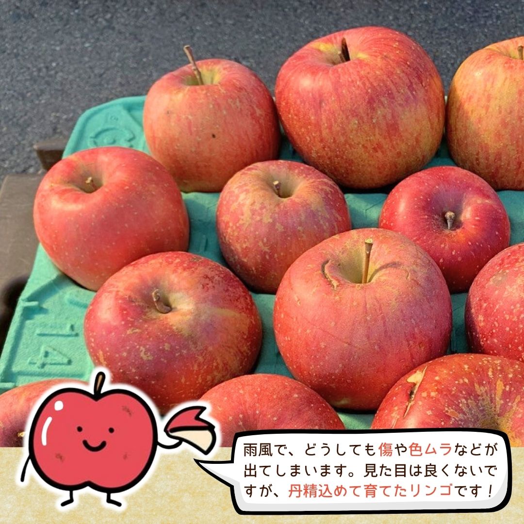 長野県千曲市の画像3