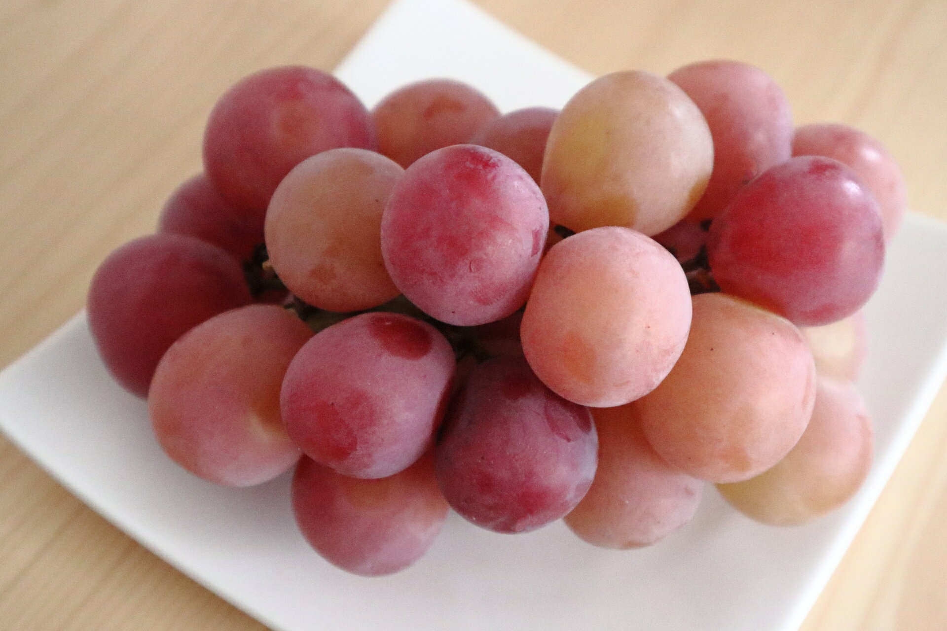 [2026年先行予約]クイーンルージュ® 朝摘み 約700g ~ 約2kg|果物 フルーツ 赤ぶどう 葡萄 ブドウ 種無し 種なし 皮ごと 千曲市 長野県 信州