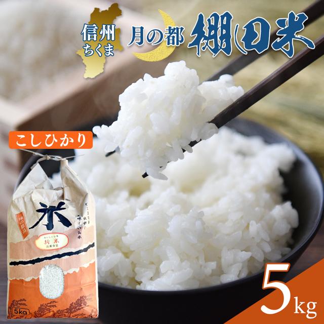 【ふるさと納税】【2026年先行予約】棚田米 こしひかり 白米 5kg/10kg 令和8年産｜コシヒカリ 千曲市 長野県 信州