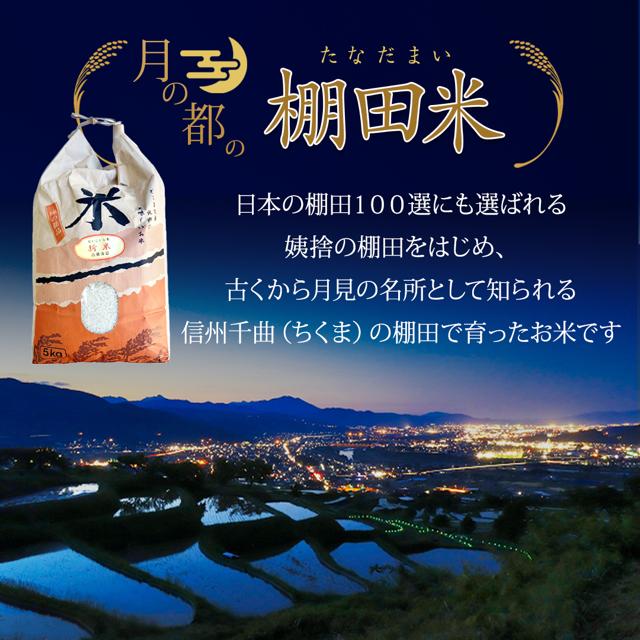 【ふるさと納税】【2026年先行予約】棚田米 こしひかり 白米 5kg/10kg 令和8年産｜...