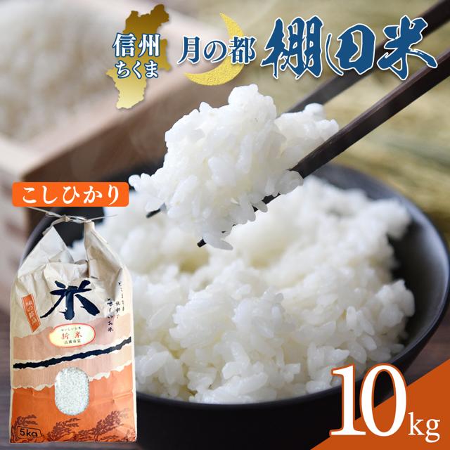 【ふるさと納税】【2026年先行予約】棚田米 こしひかり 白米 5kg/10kg 令和8年産｜コシヒカリ 千曲市 長野県 信州