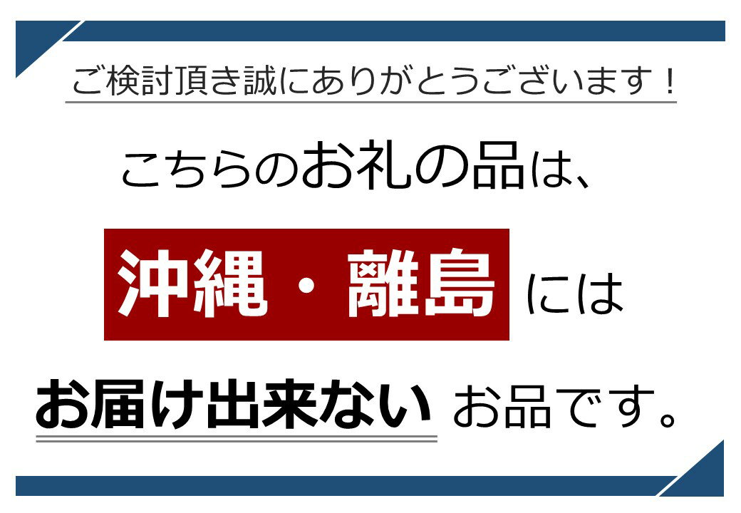 【ふるさと納税】2024年発送 山菜 たらの芽｜ 山菜 長野県 千曲市