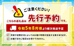 【ふるさと納税】旬の洋ナシ3kg｜ 先行予約 長野県 千曲市 果物 フルーツ 画像2