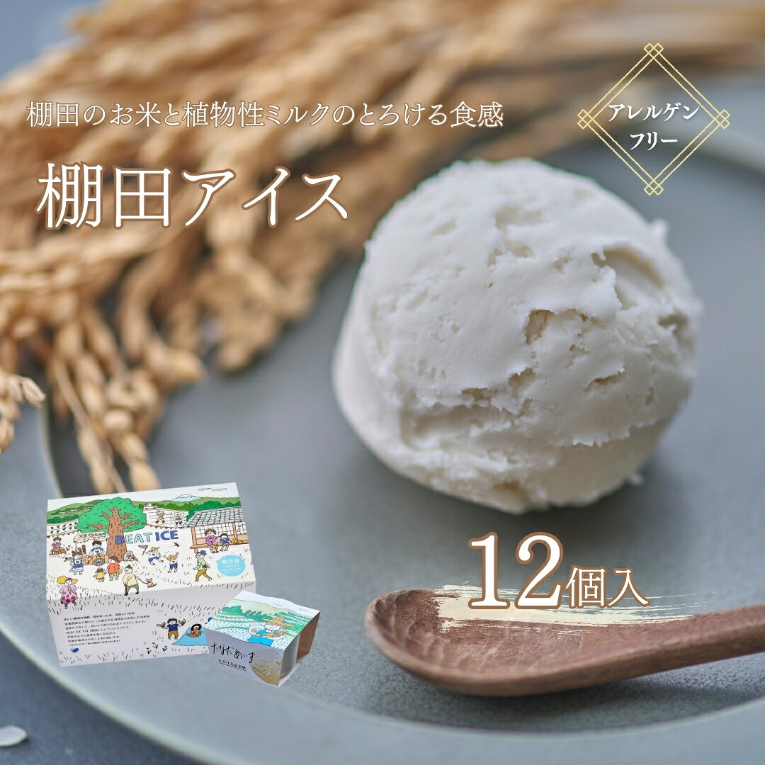 棚田アイス とろけるお米味 91ml×12個| 信州 長野 千曲市 送料無料