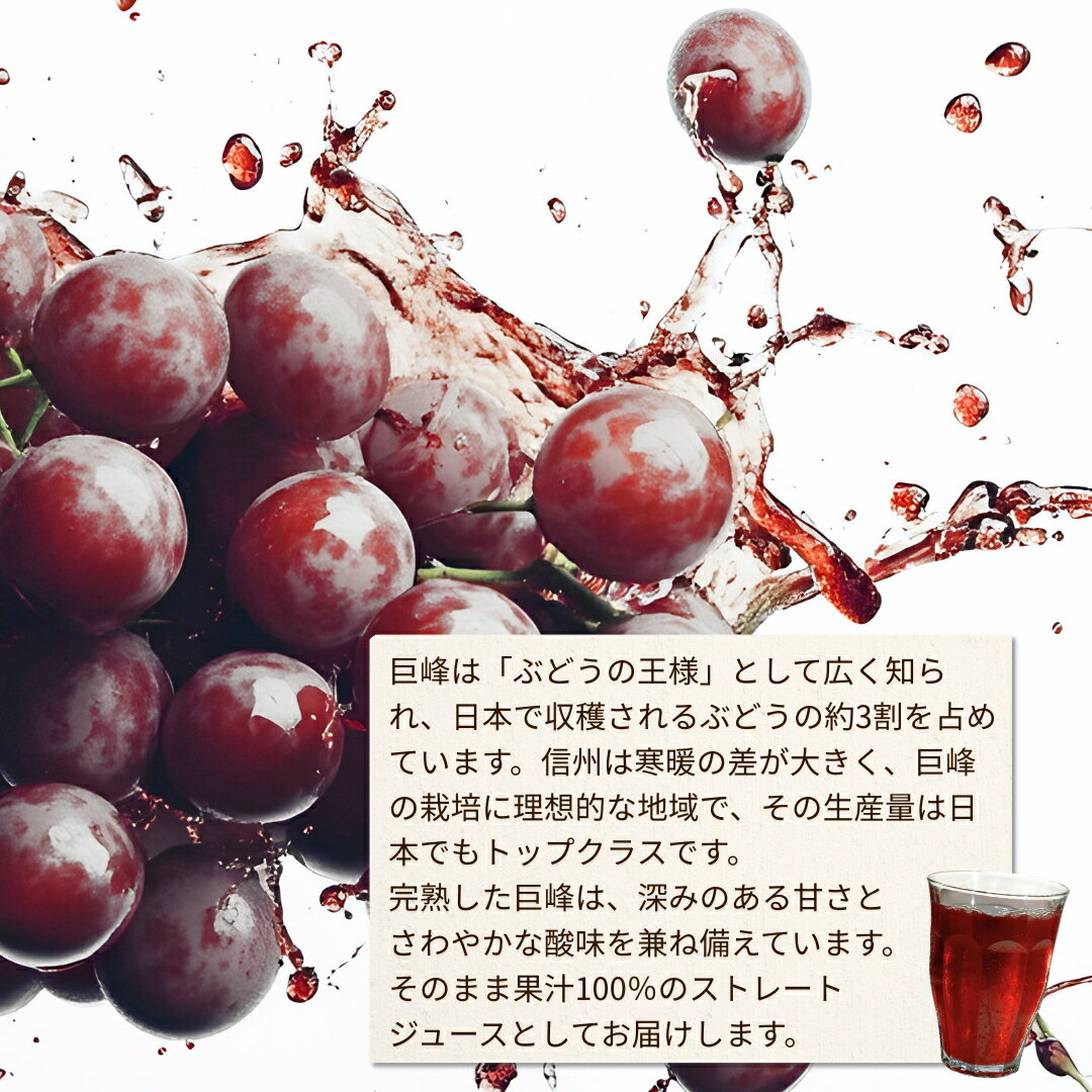 【ふるさと納税】信州産 巨峰ジュース 「紫宝の恵」 果汁100％ (1L×4本) | 葡萄 ぶどう ブドウ グレープ 果物 フルーツ ストレート ジュース 飲料 飲み物 ドリンク 瓶 人気 おすすめ お取り寄せ ギフト プレゼント 贈答品 信州 長野 千曲市 送料無料