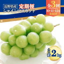 【ふるさと納税】【2025年先行予約】【定期便3回】シャインマスカット 約2kg×3回 (2025年10月/11月/12月発送)|葡萄 グレープ 果物 フルーツ...