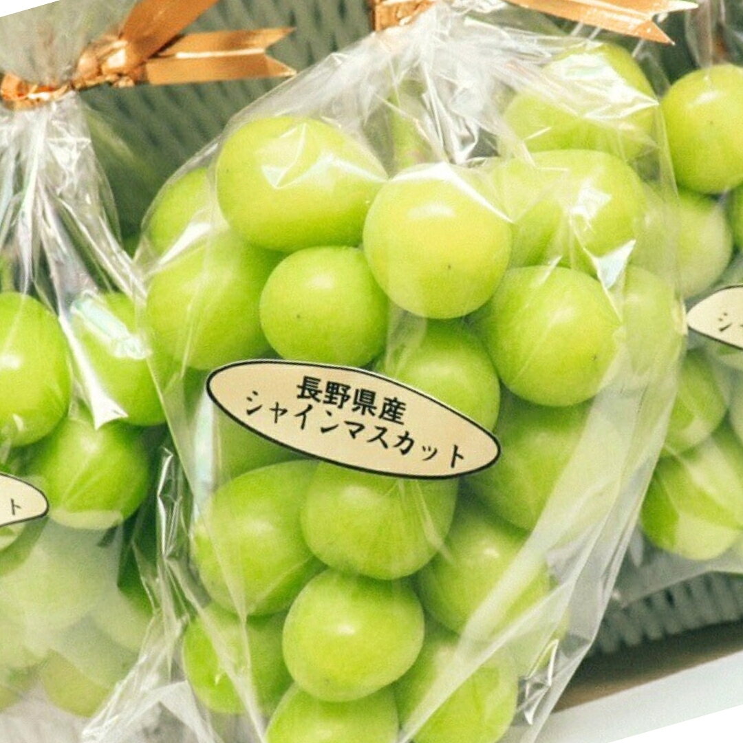 【ふるさと納税】【2026年先行予約】【定期便3回】シャインマスカット 約2kg×3回 (2026年10月/11月/12月発送)｜ 果物 フルーツ 白ぶどう 葡萄 ブドウ 種無し 種なし 皮ごと 千曲市 長野県 信州 f202185-chikuma-10000822 長野県千曲市 サンプル画像3