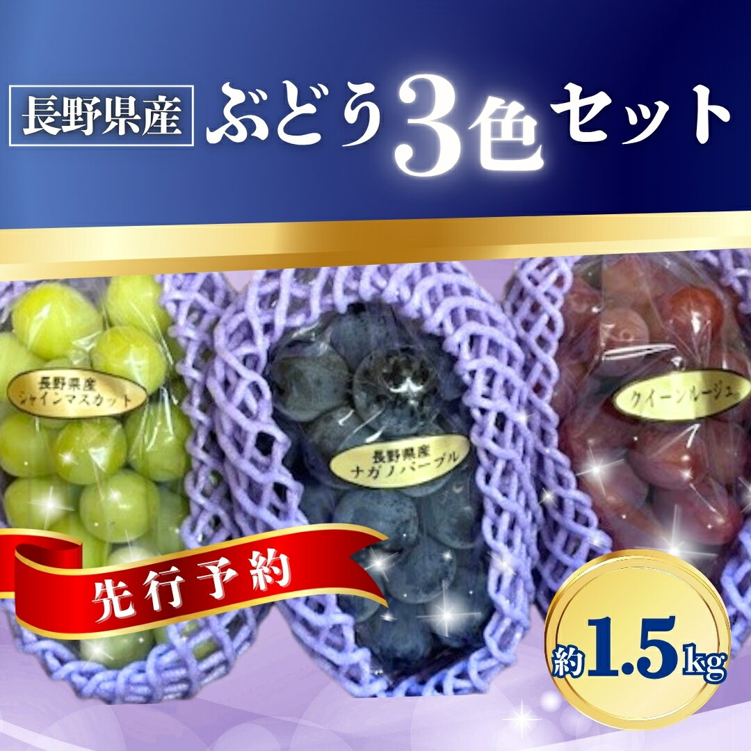 【ふるさと納税】【2026年先行予約】ぶどう 3色セット(シャインマスカット/ナガノパープル/クイーンルージュ®) 約1.5kg｜ 果物 フルーツ 白ぶどう 黒ぶどう 赤ぶどう 葡萄 ブドウ 種無し 種なし 皮ごと 千曲市 長野県 信州