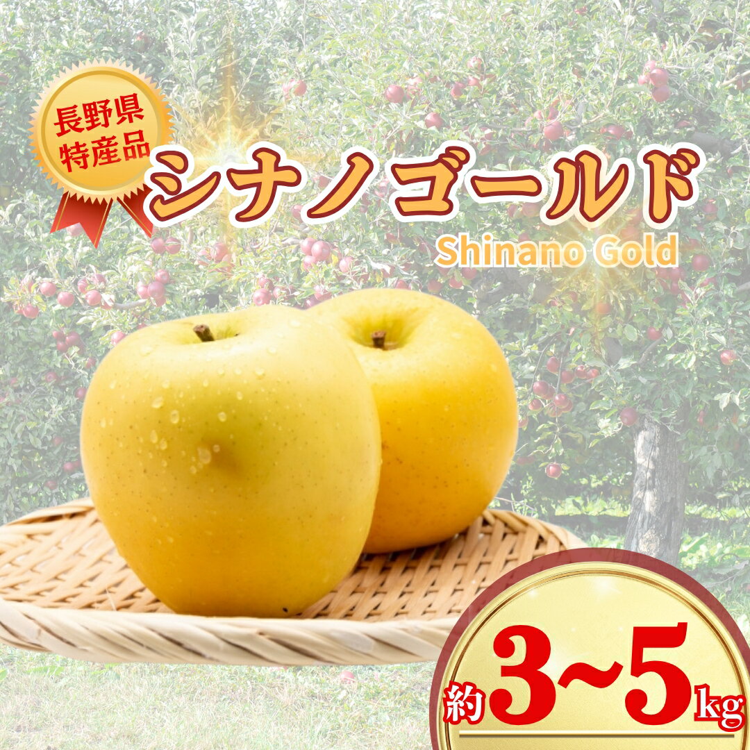 【ふるさと納税】【2026年先行予約】シナノゴールド 約3k