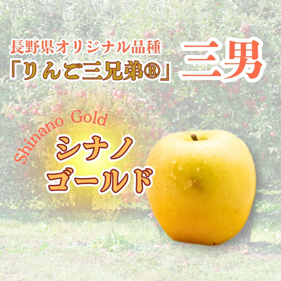 【ふるさと納税】【2026年先行予約】シナノゴールド 約3kg / 約5kg｜ 果物 フルーツ リンゴ 林檎 シナノゴールド 千曲市 長野県 信州