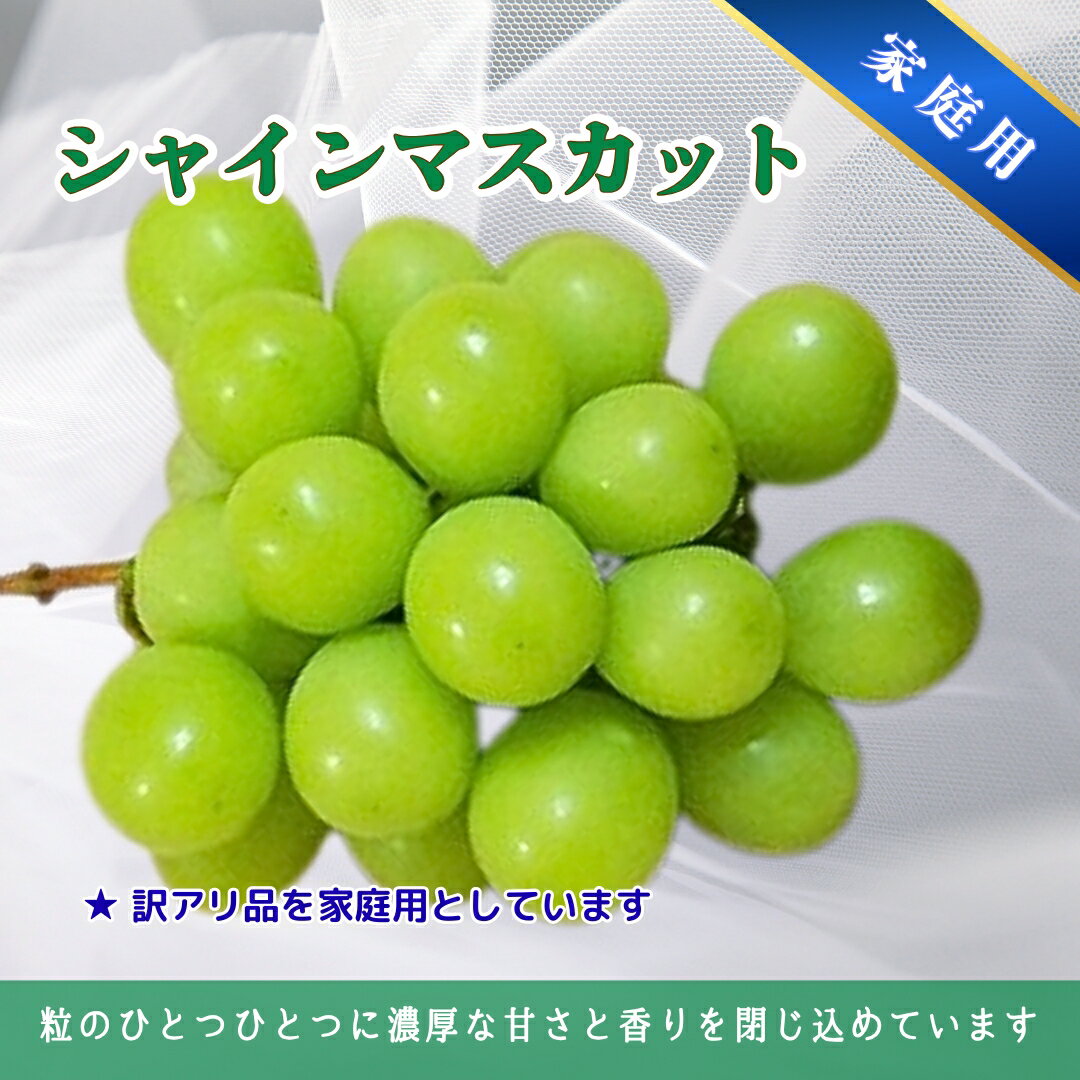 【ふるさと納税】【2026年先行予約】家庭用 シャインマスカット＆クイーンルージュ® 約1.5kg / 約2kg｜ 果物 フルーツ 白ぶどう 赤ぶどう 葡萄 ブドウ 種無し 種なし 皮ごと 千曲市 長野県 信州