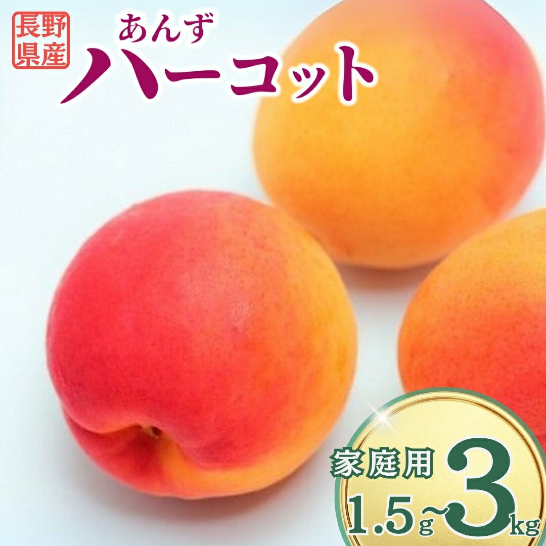 【ふるさと納税】あんず ハーコット 家庭用 約1.5kg/約2kg/約3kg|杏子 アプリコット 果 ...