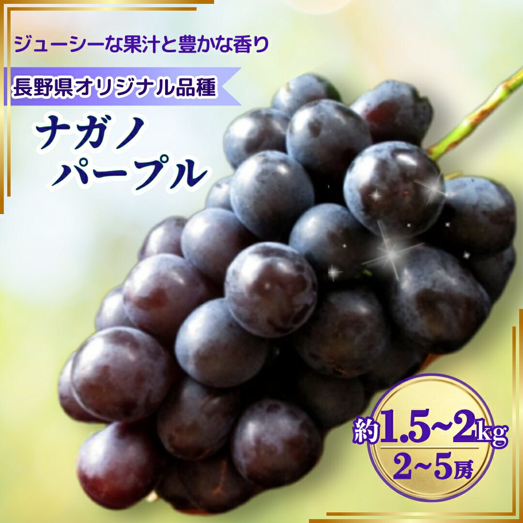 【ふるさと納税】【2026年先行予約】ぶどう ナガノパープル 約1.5kg / 約2kg｜ 果物 フルーツ ぶどう 葡萄 ブドウ 種無し 種なし 皮ごと 千曲市 長野県 信州