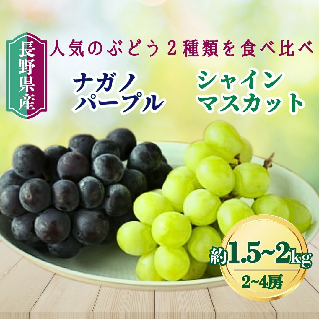 【ふるさと納税】【2026年先行予約】家庭用 シャインマスカット＆ナガノパープル 約1.5kg / 約2kg｜ 果物 フルーツ 白ぶどう 黒ぶどう 葡萄 ブドウ 種無し 種なし 皮ごと 千曲市 長野県 信州