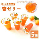 【ふるさと納税】あんず ゼリー(長野県産あんず) 5個 ギフトセット| 杏子 アンズ おやつ デザート スイーツ 軽食 国産 千曲市 長野県産 信州