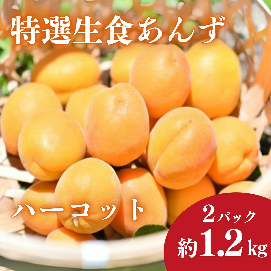 【ふるさと納税】【数量限定】あんず ハーコット 2パック(計約1.2kg)|杏子 アプリコット 果物 ...