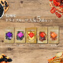 【ふるさと納税】信州産 ドライフルーツ 人気5品 セット(りんご/プルーン/あんず/ぶどう/ミニトマト)| 果物 詰め合わせ ヘルシー 千曲市 長野県産 信州