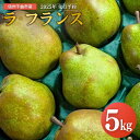 【ふるさと納税】【2025年先行予約】洋梨 ラ・フランス 約3kg / 5kg | ラフランス 洋梨 果物 フルーツ デザート 千曲市 長野県産 信州