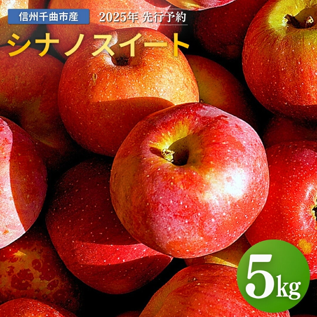 【ふるさと納税】りんご シナノスイート 12~20玉 約5kg|林檎 蜜入り 果物 フルーツ シナノスイート 5kg 信州林檎 信州りんご 信州 長野 千曲市 送料無料のサムネイル