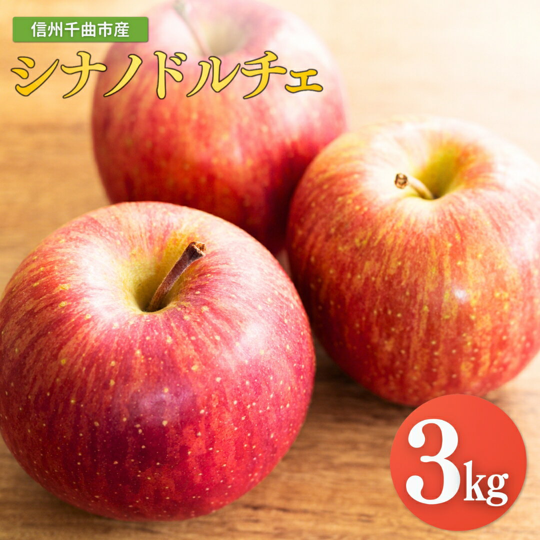 【ふるさと納税】【2026年先行予約】りんご シナノドルチェ 6~11玉 約3kg｜ リンゴ 林檎 フルーツ 果物 信州りんご 長野県産 千曲市 信州
