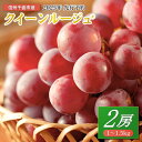 【ふるさと納税】【2025年先行予約】ぶどう クイーンルージュ? 1~1.5kg(2房) | 赤ぶどう 果物 フルーツ 種なし 皮ごと 信州 特産品 千曲市 長野県産 信州