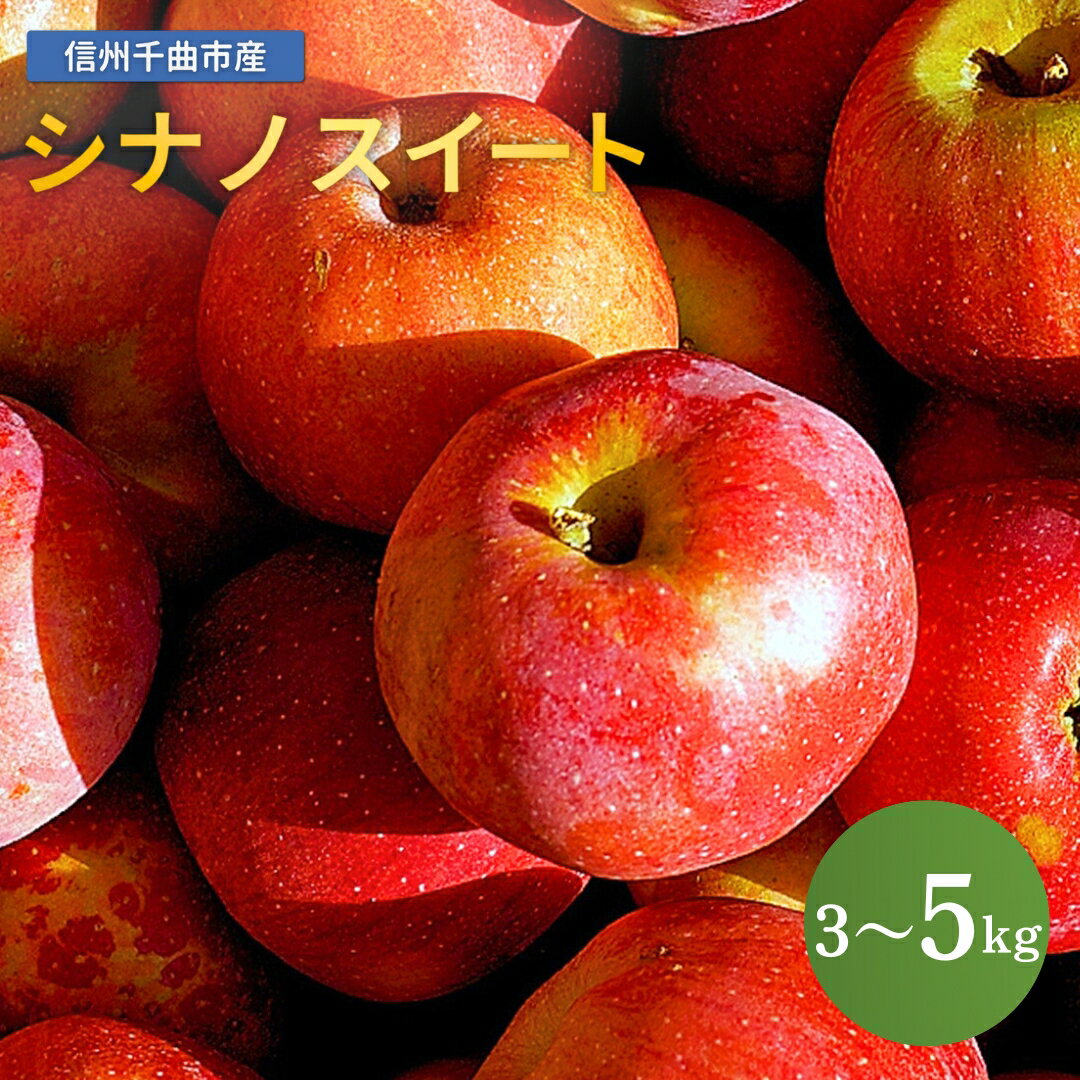 【ふるさと納税】【2026年先行予約】りんご シナノスイート 約3kg / 5kg｜ リンゴ 林檎 フルーツ 果物 信州りんご 長野県産 千曲市 信州