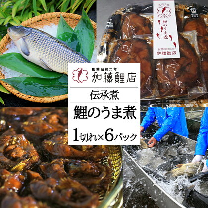 伝承煮 鯉のうま煮 6切れ（トレー入り） ｜ 鯉 川魚 煮つけ 郷土料理 特産品 千曲市 長野県 こい 長期 保存