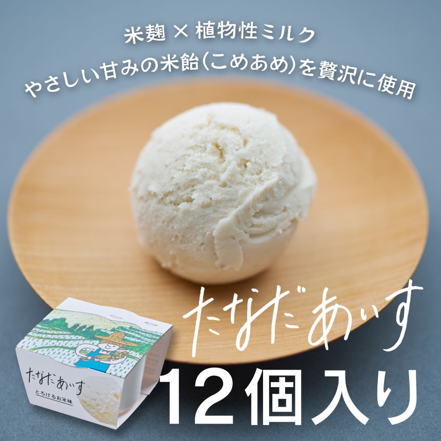 棚田アイス-とろけるお米味-(12個入り) | 無添加 自然派 乳製品 不使用 姨捨 長野県 千曲市 アイスクリーム こども おやつ スイーツ 美容 ビーガン アイス アレルゲンフリー