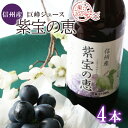  信州産 巨峰ジュース 「紫宝の恵」 果汁100％ (1L×4本) ｜ ぶどう 巨峰 ジュース フルーツ 特産品 千曲市 長野県