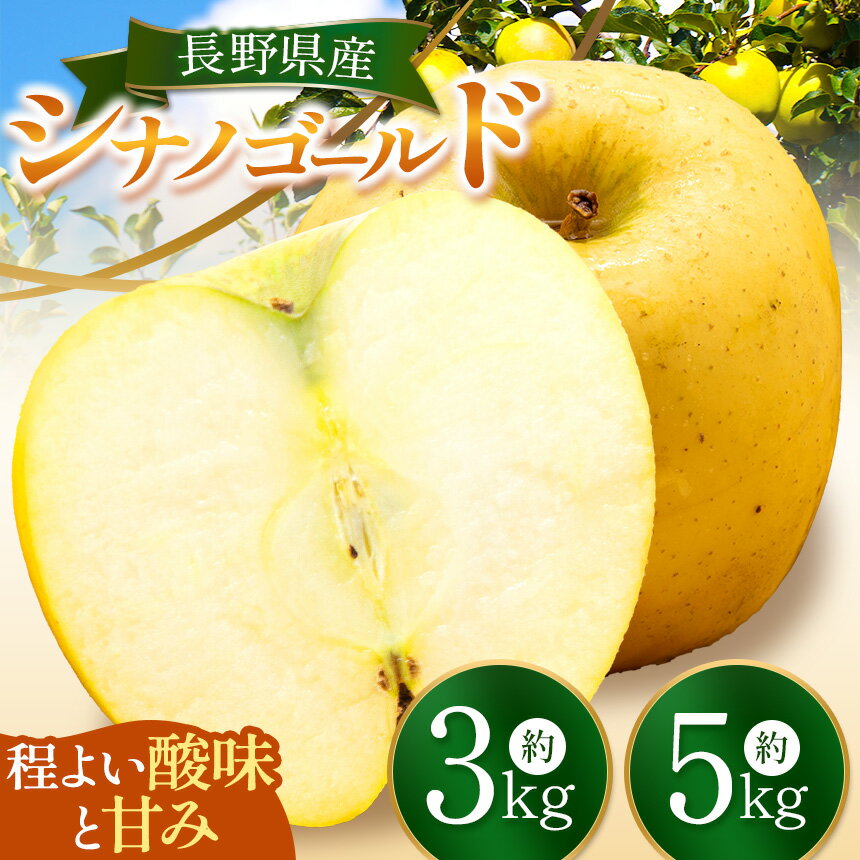 シナノゴールド 約 3 kg or 約 5 kg | シナノゴールド しなのごーるど りんご 林檎 リンゴ フルーツ 果物 スイーツ おやつ 特産品 千曲市 長野県 信濃