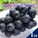 50位! 口コミ数「1件」評価「4」 2024年発送 ナガノパープル 1kg（2～3房） ｜ ぶどう 葡萄 ながのぱーぷる 濃厚 甘い フルーツ 果物 おやつ 特産品 千曲市 ･･･ 