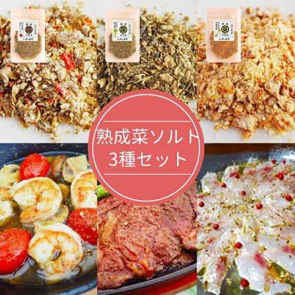 【漬物屋が作る新しい調味料】熟成菜ソルト3種セット ｜ ソルト 漬物 調味料 特産品 千曲市 長野県