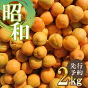 【ふるさと納税】 あんず（昭和）2kg｜ あんず 杏 昭和 フルーツ 特産品 千曲市 長野県 先行 予約 旬 ジャム 果実酒 手作り くだもの 数量限定 期間限定 希少 加工用･･･